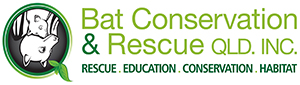 Bat Conservation and Rescue QLD Inc - Non-profit organisation dedicated to preserving the population of flying foxes and microbats in Queensland through rescue, rehabilitation and education.